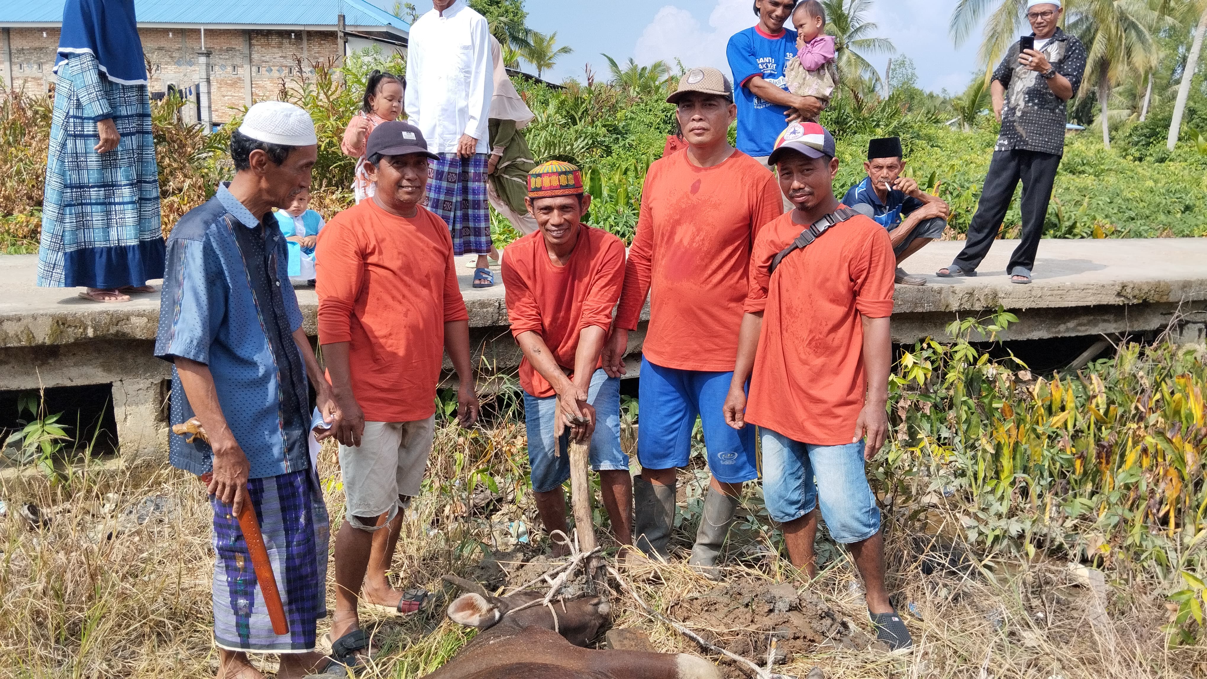 Penyembelihan Hewan Qurban di Desa Pemusiran: Momen Kebersamaan dan Kepedulian Sosial